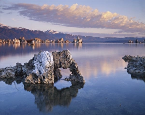 US National Parks And Landmarks Drucke: CTF-009