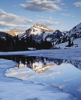Frozen Lake Reflections Drucke: CTF-0411