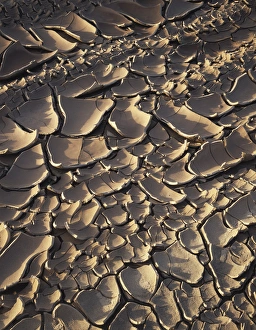 American Desert Scenes Drucke: CTF-0845