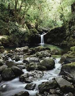 Tropical Rock Formations Drucke: CTF-0849