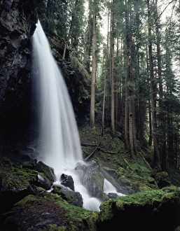 Oregon Waterfall Drucke: CTF-1007