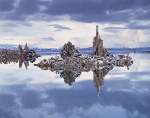 Mono Lake Landscape Drucke: CTF-1031