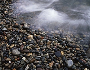Maine Coastline Photography Drucke: CTF-1101