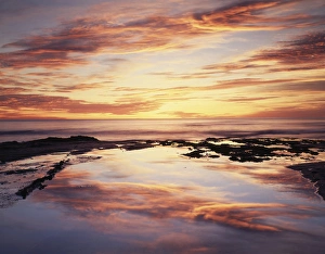 California Coast Photography Drucke: CTF-1258