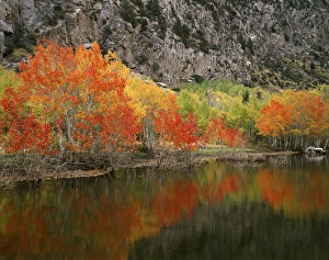 Tranquil Lake Scenes Drucke: CTF-1388