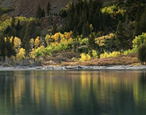 Natural Scenery Photography Drucke: CTF-1398