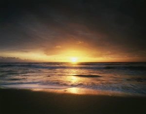 Beach Sunset Drucke: CTF-1439