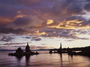 Serene Water Scene Drucke: CTF-1569