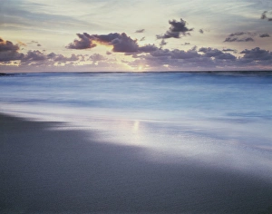 Tranquil Coastal Landscape Drucke: CTF-1745
