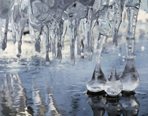 Icicle Formations Drucke: CTF-1760