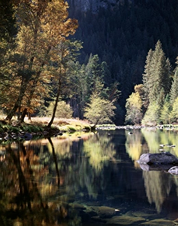 Fall Foliage Colors Drucke: CTF-227
