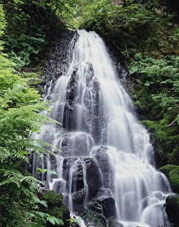 Waterfall Scenery Drucke: CTF-264