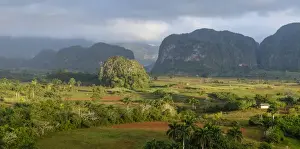 Kuba, Viñales. Panoramische Aussicht über das Tal von Viñales mit Mogoté oder Kalkfelsen