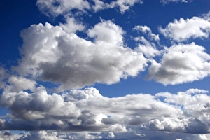 David R Frazier Photography Drucke: Cumulus clouds against a blue sky