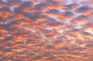 Colorful Evening Sky Drucke: Cumulus clouds at sunset