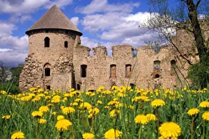 European Castle Landscapes Drucke: Dandelions surround