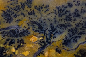 Macro Mineral Photography Drucke: Dendritic Jasper