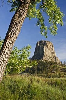 Devils Tower National Monument Drucke: Devils Tower, Devils Tower National Monument, Wyoming