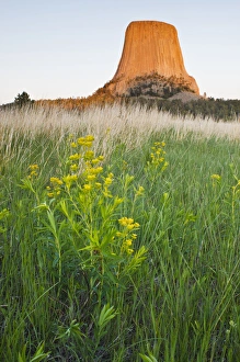 Devils Tower National Monument Drucke: Devils Tower National Monument, Wyoming at sunset, spring