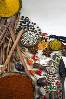 Different Types Of Spices Drucke: Different types of spices