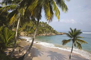 Dominican Republic Beaches Drucke: Dominican Republic