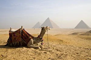 Egyptian Pharaohs Drucke: Egypt, Cairo. A