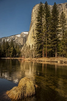 Yosemite National Park Scenery Drucke: El Capitan reflection in Merced River. Yosemite, California, US