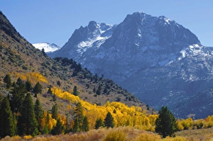 Sierra Nevada Mountain Landscape Drucke: Fall in Eastern California