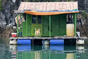 Ha Long Bay Vietnam Drucke: Famous for its precipitous limestone cliffs, thousands of islands, and rich biodiversity