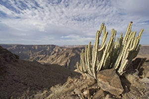 Fish River Canyon Namibia Drucke: Fish River Canyon, Namibia