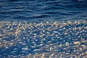 Ocean Landscape Photography Drucke: Floating ice blocks pattern, Antarctica