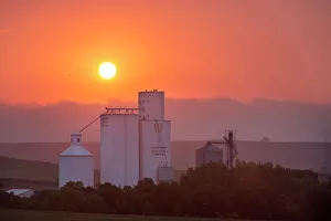 Bilder vom 4. Juli 2012: Nebliger Sonnenaufgang über Getreidekessel in der kleinen Stadt Kathryn im nördlichen Norddakota (USA)