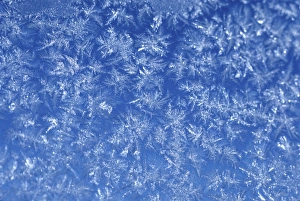 Frozen Landscape Drucke: Frost on glass