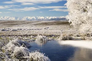 Central Otago Landscapes Drucke: Frozen Pond