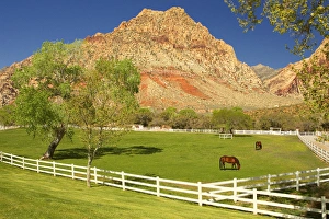Geschichtliches Spring Mountain Ranch, Red Rock Canyon Nationaler Naturschutzgebiet, Nevada