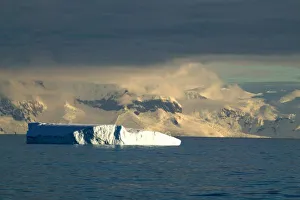 Glacier Calving Images Drucke: Ice Berg in