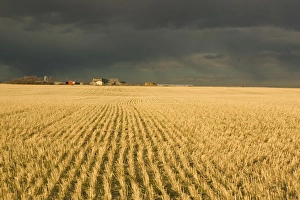 Environmentally Friendly Farming Practices Drucke: 02
