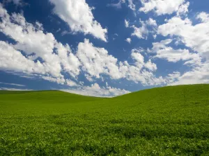 Landschaft Drucke: Grünflächen von Erbsen