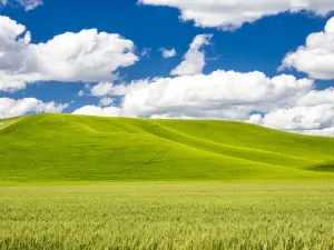 Landschaft Drucke: Vorderfeld mit weichen Wolken