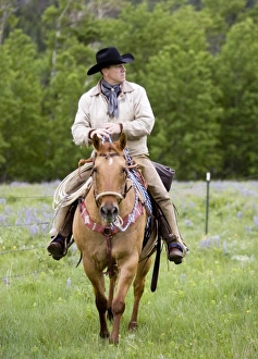Cowboy Riding Horse Drucke: Lee Ranch Cowboy