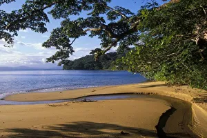 Lemur Conservation Efforts Drucke: Madagascar, Nosy