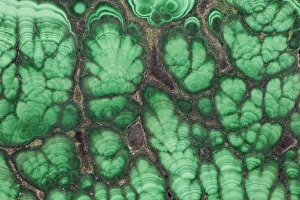 Malachite Stone Drucke: Malachite