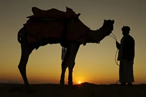 Sunset In The Desert Drucke: a man and his camel