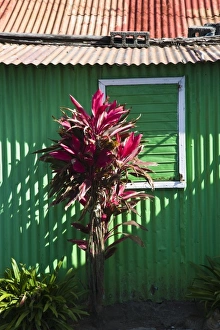 Mauritius Beach Drucke: Mauritius, Eastern Mauritius, Trou d Eau Douce, beach shack