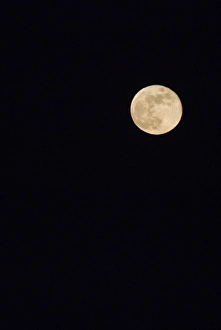 Full Moon Drucke: Full Moon