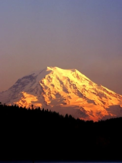 US Mountain Range Scenery Drucke: Mt. Rainier is bathed in the setting sun