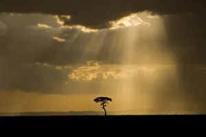 African Sunset Images Drucke: A mystical sunset