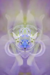 Sterne von Bethlehem und Iris im Hintergrund