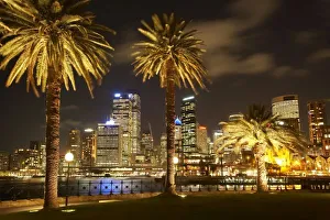 Sydney Central Business District Drucke: Palm Trees