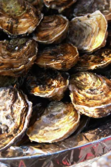 Austern Drucke: Ein Teller mit Muscheln